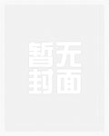 新娘心声歌曲内容